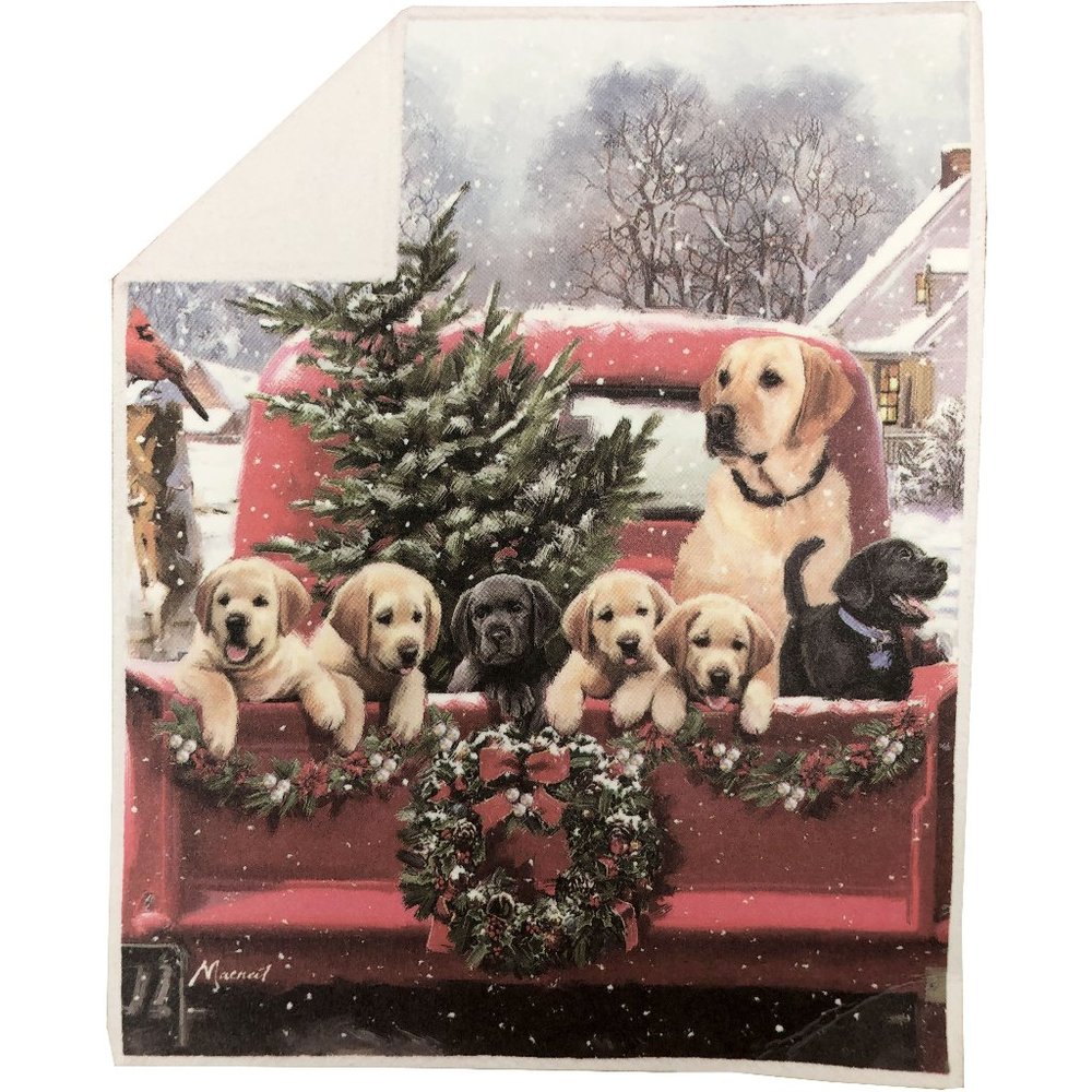 Safdie & Co. | Decorative Holiday Puppy Sherpa Throw | 48" x 60" | Red & Green